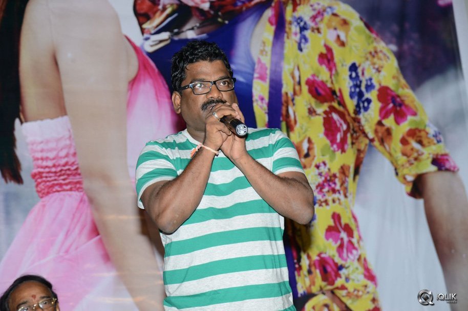 Dhee-Ante-Dhee-Movie-Platinum-Disc-Function